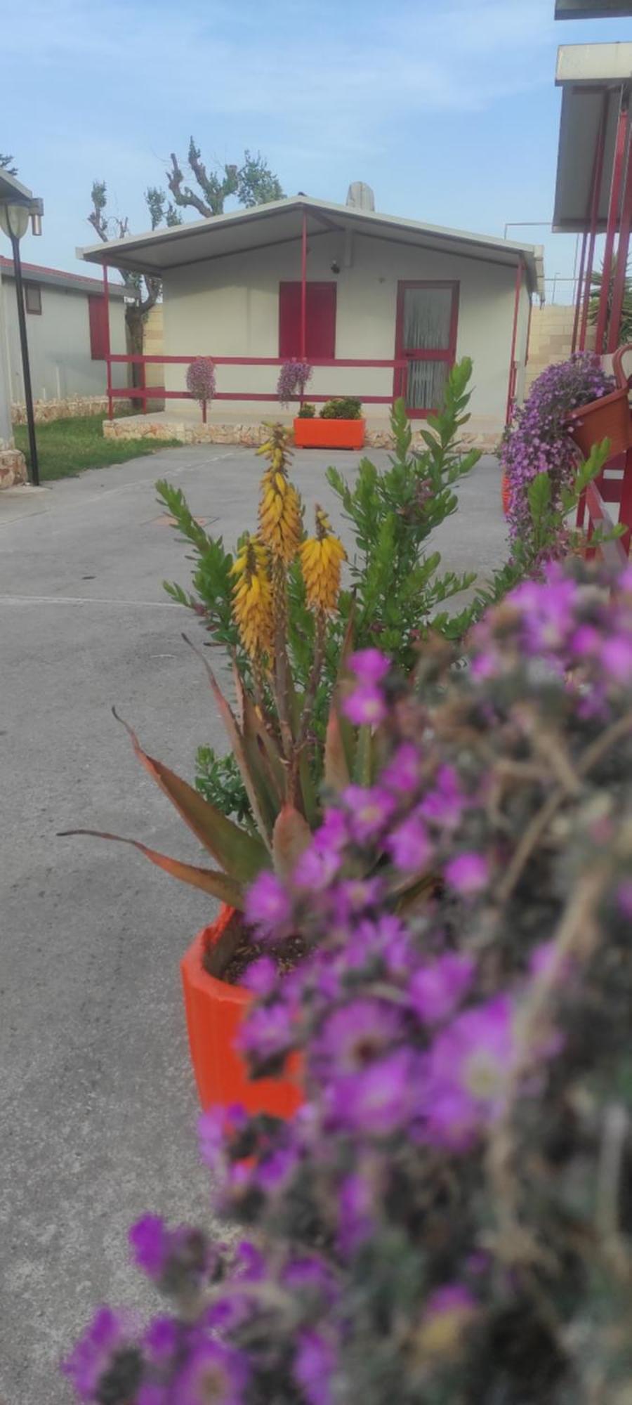 Villaggio Albergo Cervo Zapponeta Exteriör bild